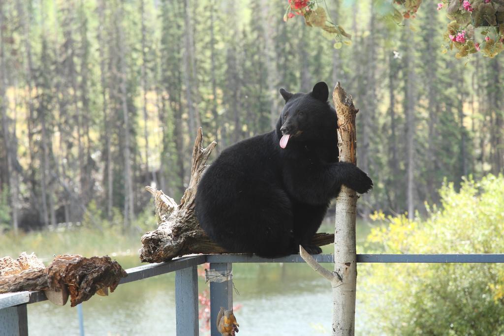 Lac Le Jeune Resort & Nature Centre Kamloops Ngoại thất bức ảnh
