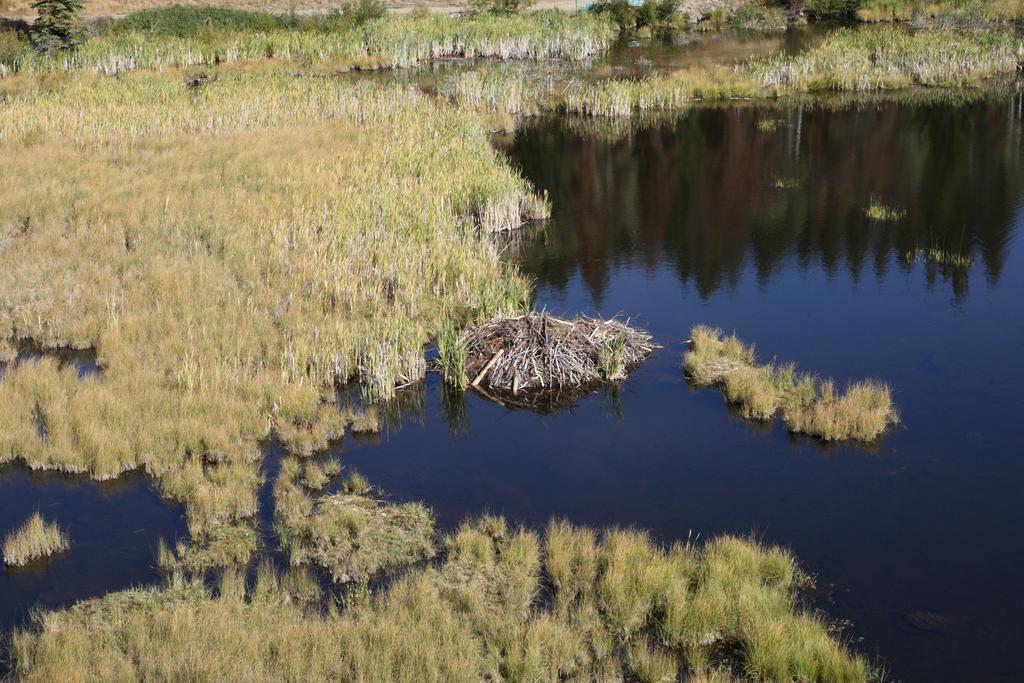 Lac Le Jeune Resort & Nature Centre Kamloops Ngoại thất bức ảnh